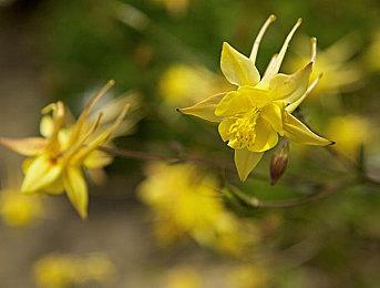 粉丝自制虚幻5《刺客信条：无限》实机演示